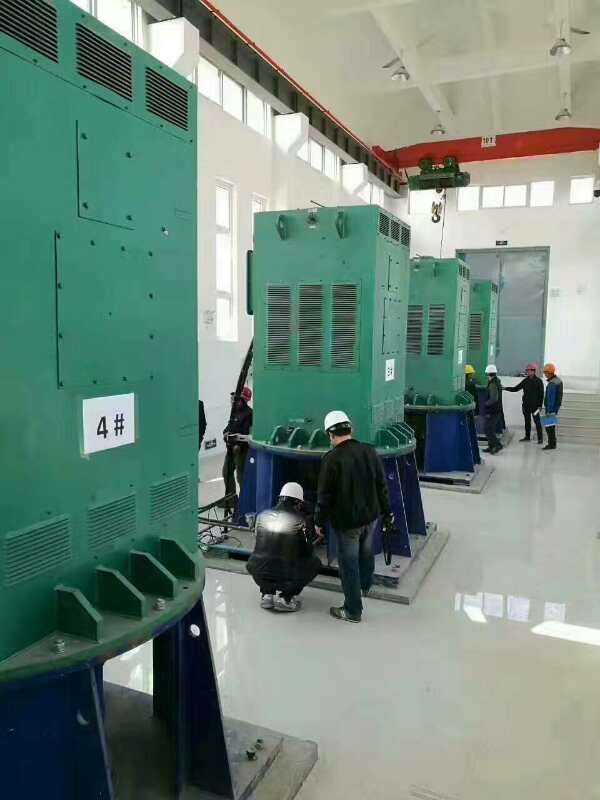YKK5003-4某污水处理厂使用我厂的立式高压电机安装现场